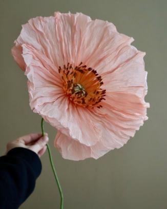 Ontbijt & bloemenkunst: maak een reusachtige crêpebloem workshop