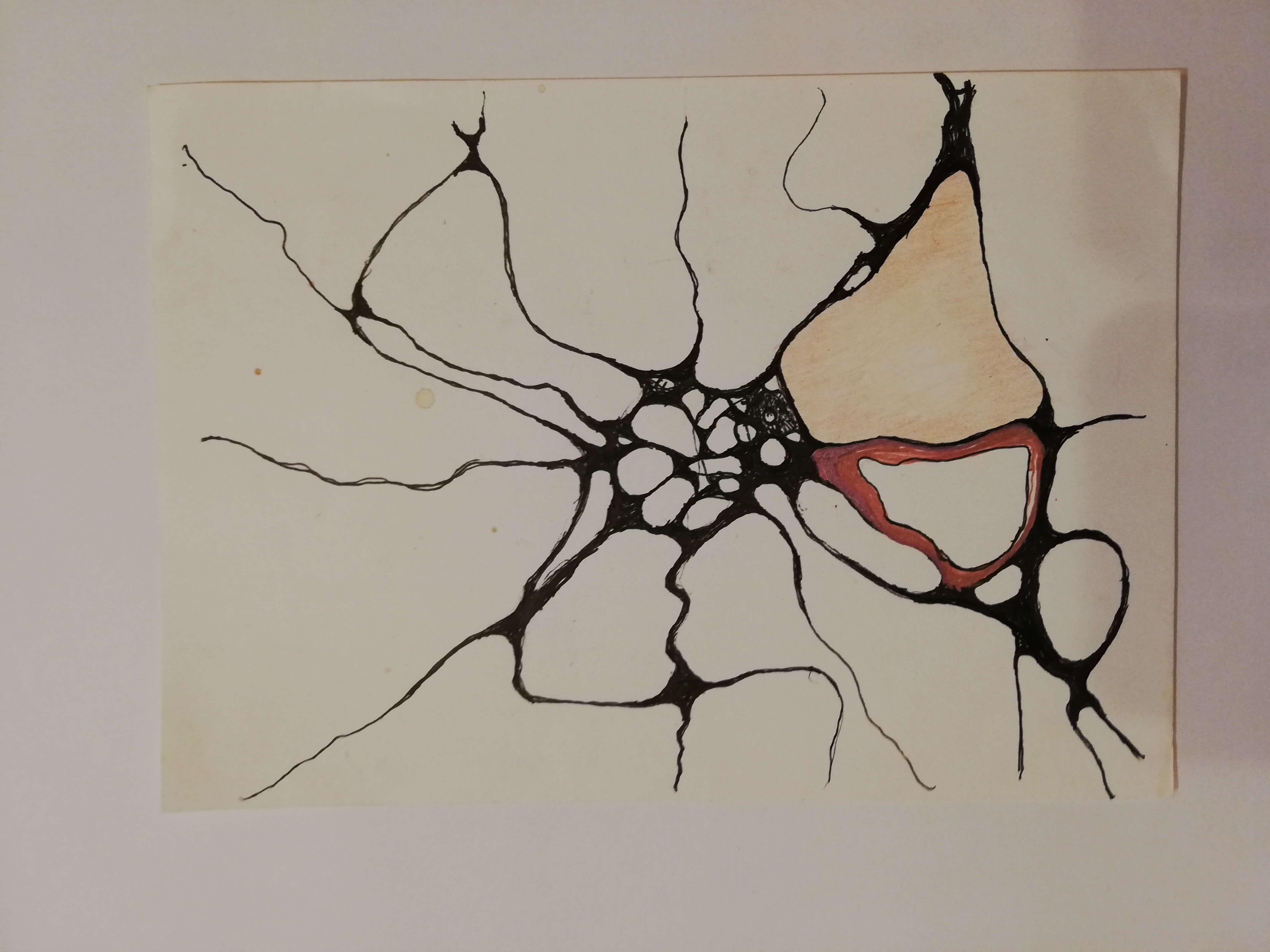 Neuro art - Foto