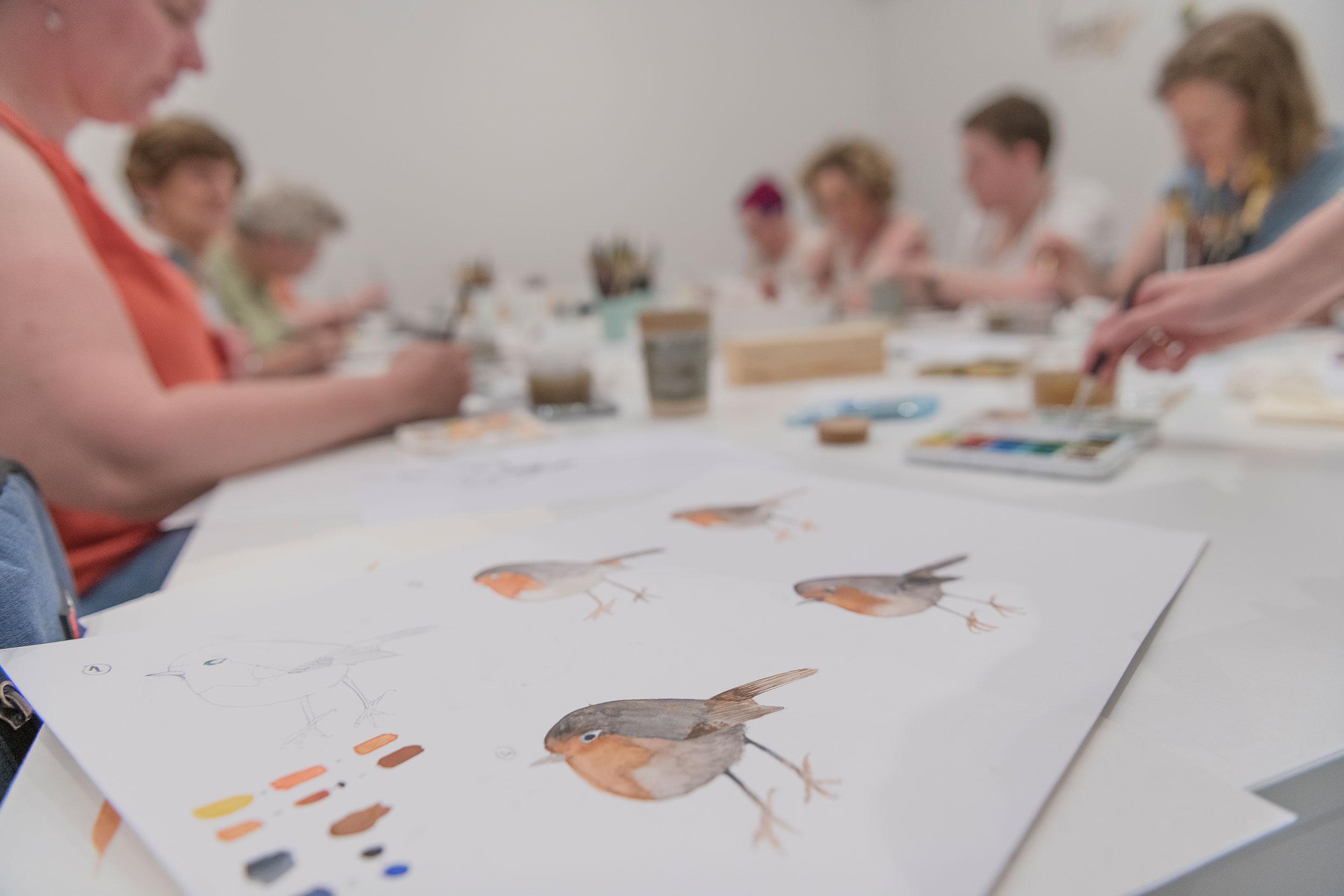Vogels in aquarel (dagworkshop) - Foto