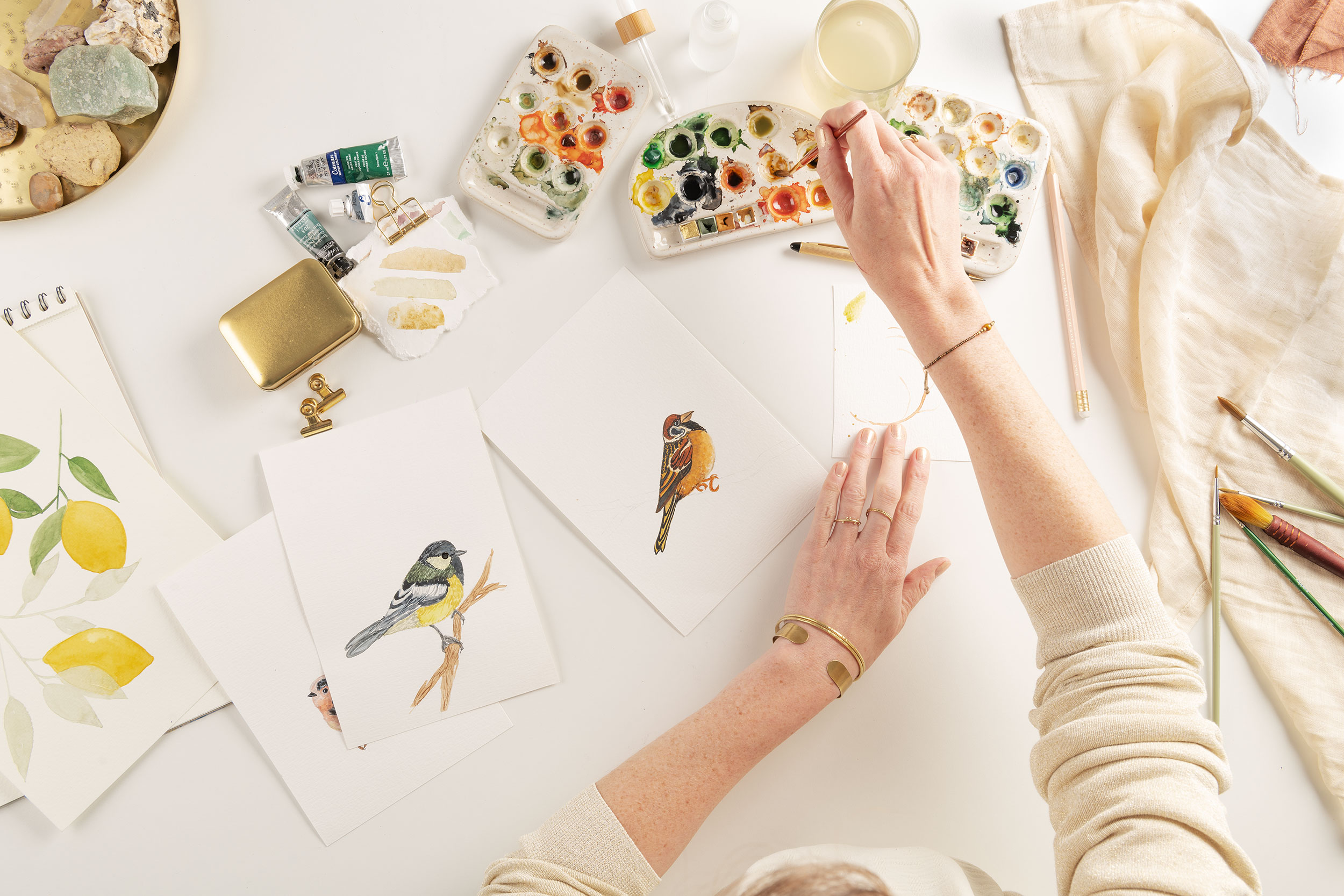 Vogels in aquarel (dagworkshop)