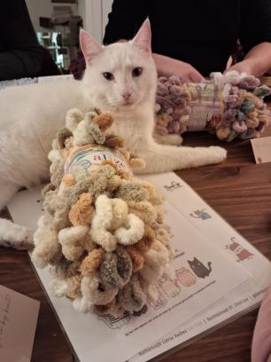 🐾 Lusjes, wol & kattenknuffels – kattendekentje handbreien in Lierse Aaikes