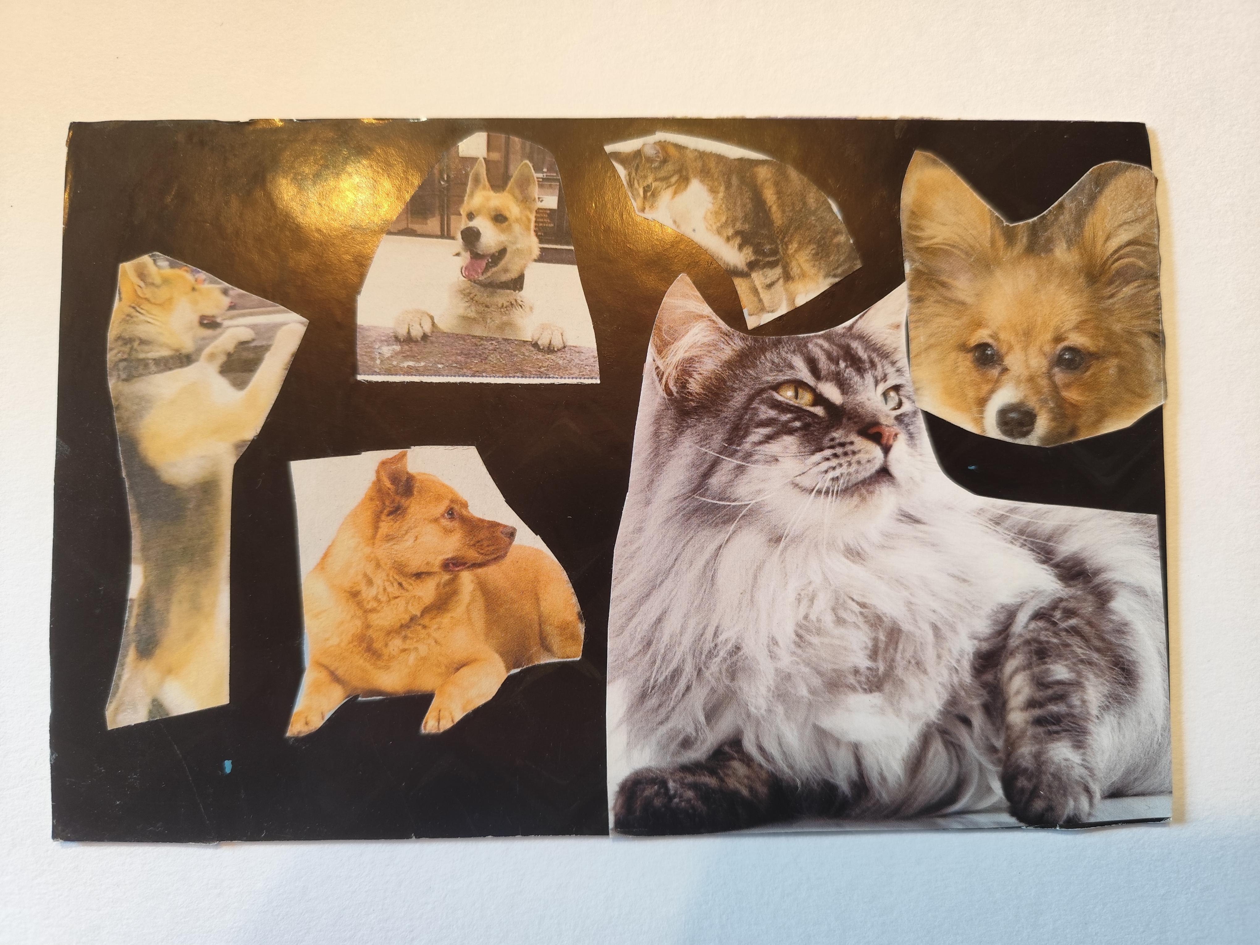 Maak je eigen zielskaarten — een zacht, intuïtief DIY‑pakket om thuis te verbinden met creativiteit, symboliek en innerlijke rust. - Foto