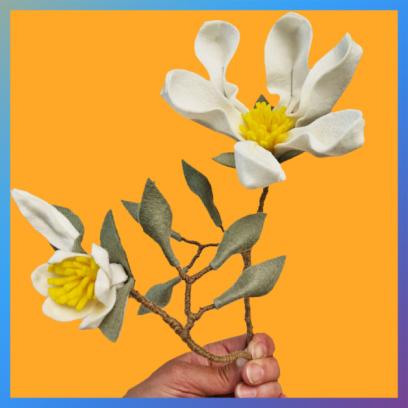 Bloemen van Wolvilt - Magnolia