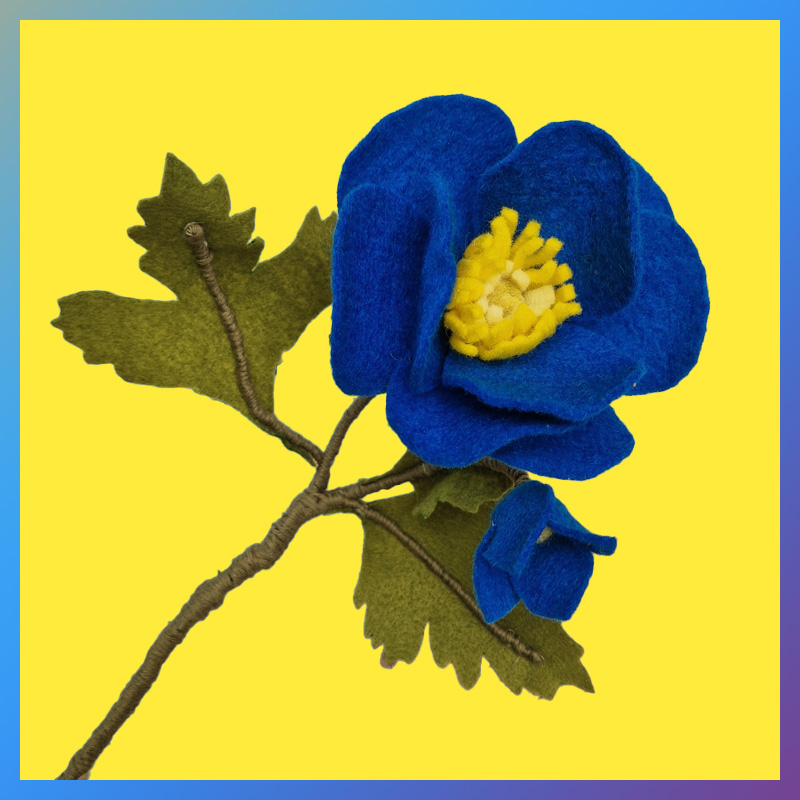 Bloemen van Wolvilt - Anemoontje