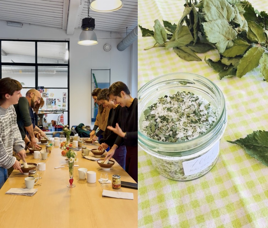 🌻Kruidenworkshop Zomervitaliteit