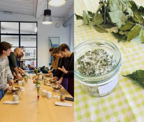 🌻Kruidenworkshop Zomervitaliteit