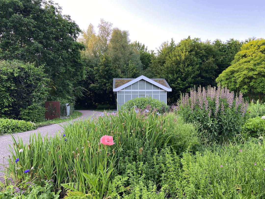 Tekenen in het park - Foto