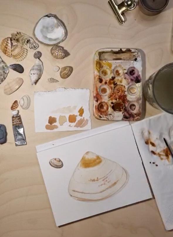 Schelpen schilderen in aquarel - Foto