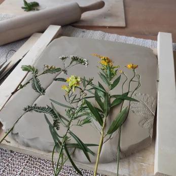 Botanische Gipsafdrukken - Foto