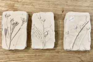 Botanische Gipsafdrukken - Foto