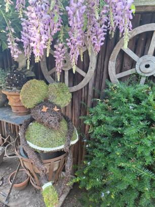 Tuin muis