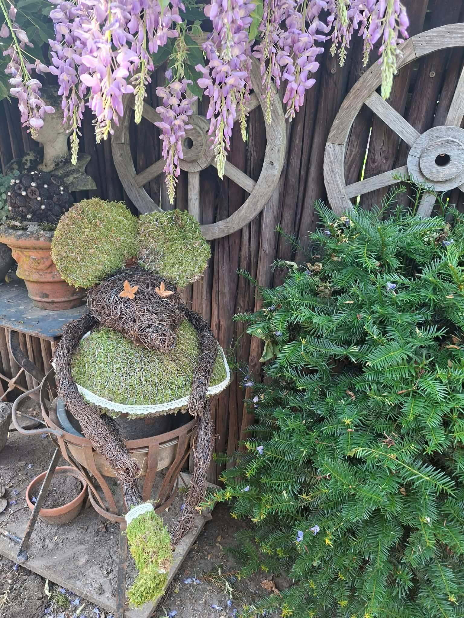 Tuin muis - Foto