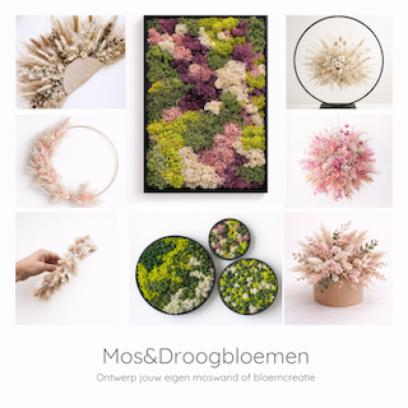 Moswand & Droogbloemen Workshop