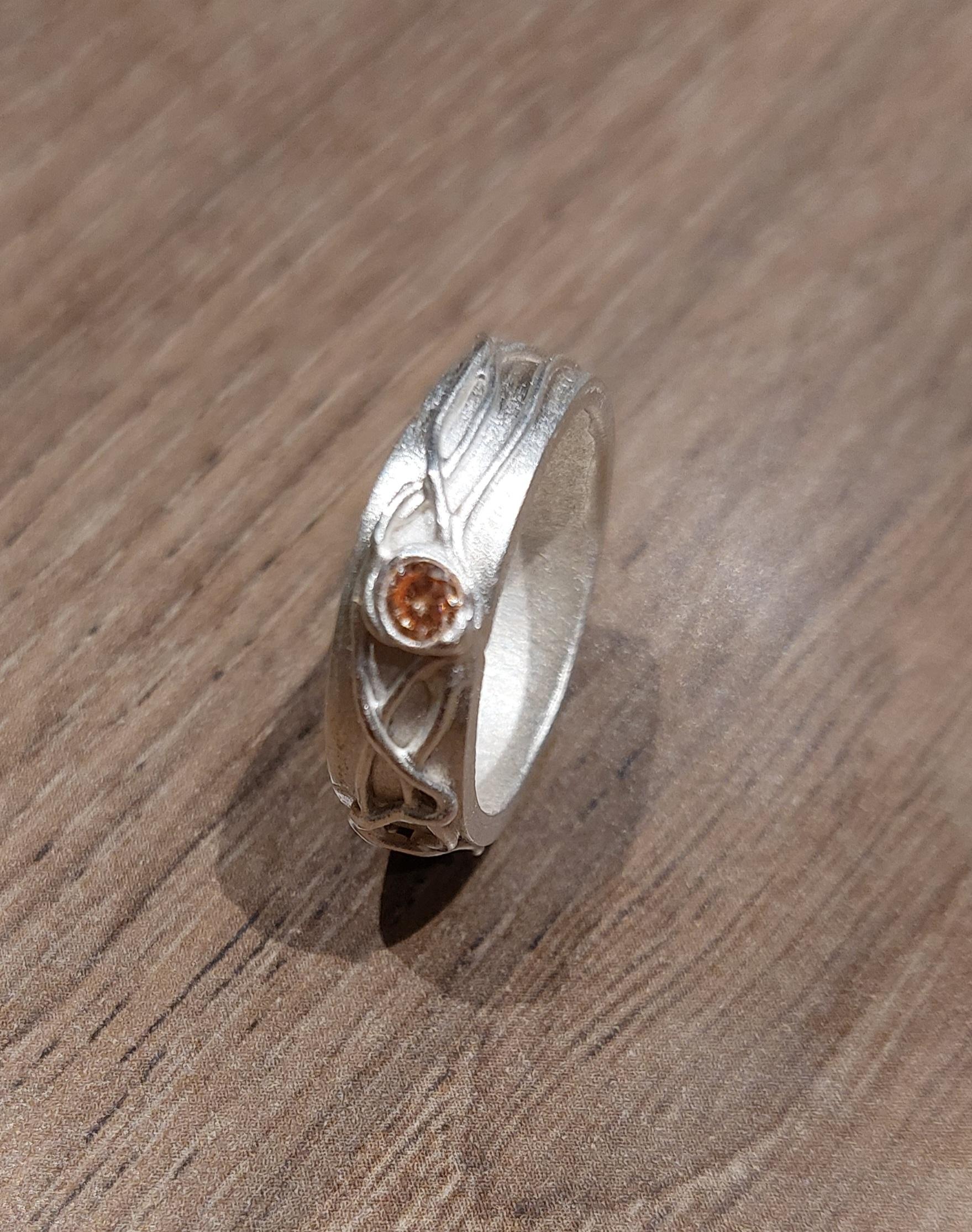 Zilverklei: Ring - Foto