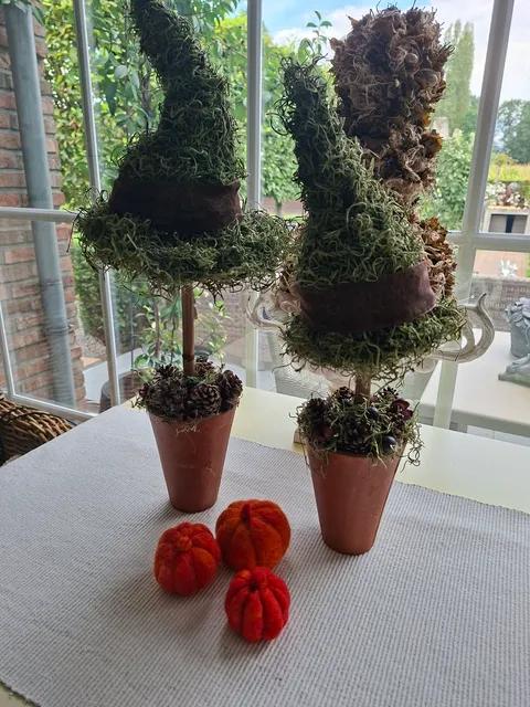 Heksenhoedjes maken - Foto