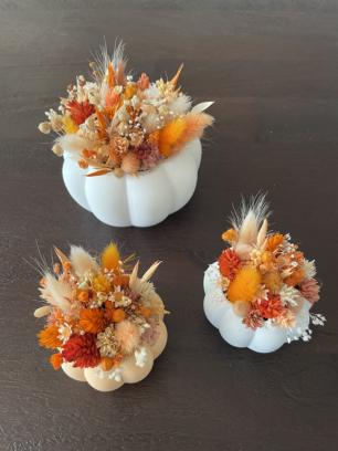 DIY Pakket - 3x pompoen