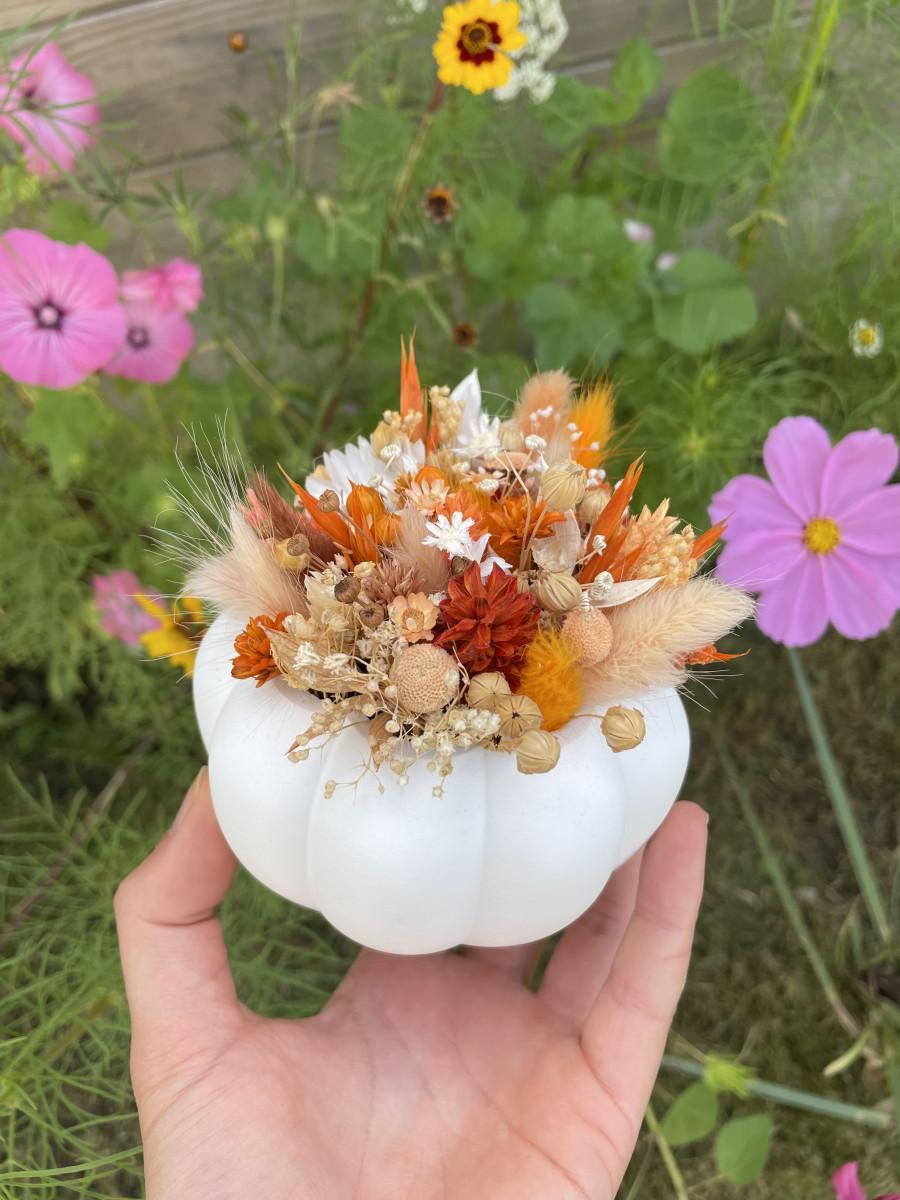 DIY Pakket - 3x pompoen - Foto