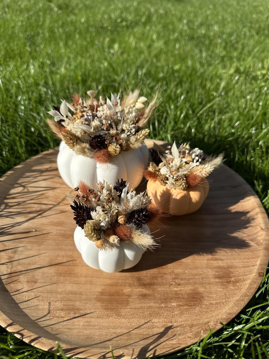 DIY Pakket - 3x pompoen - Foto