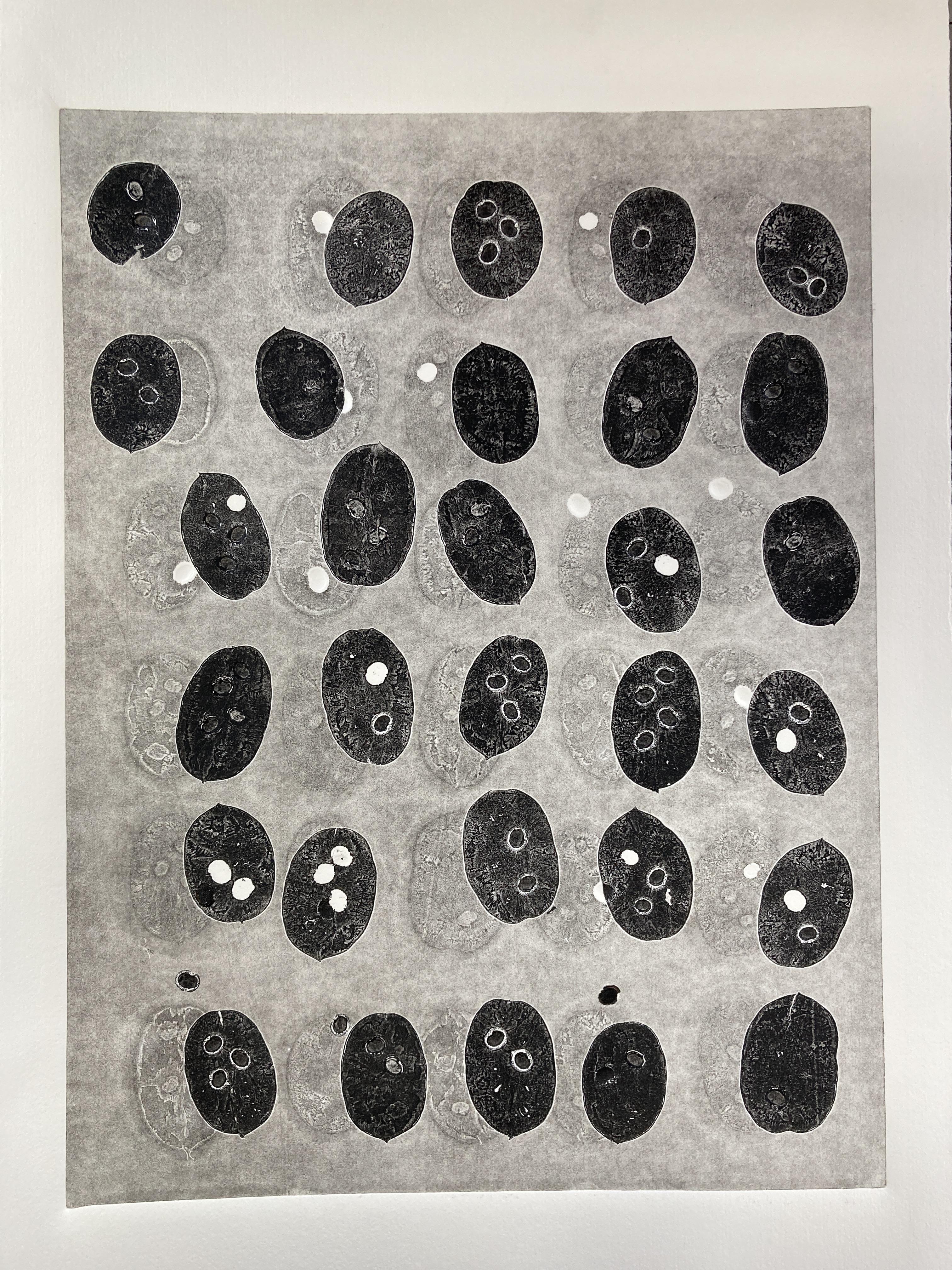 Monotype - eerste kennismaking - herfstbladeren en herfstvruchten - Foto