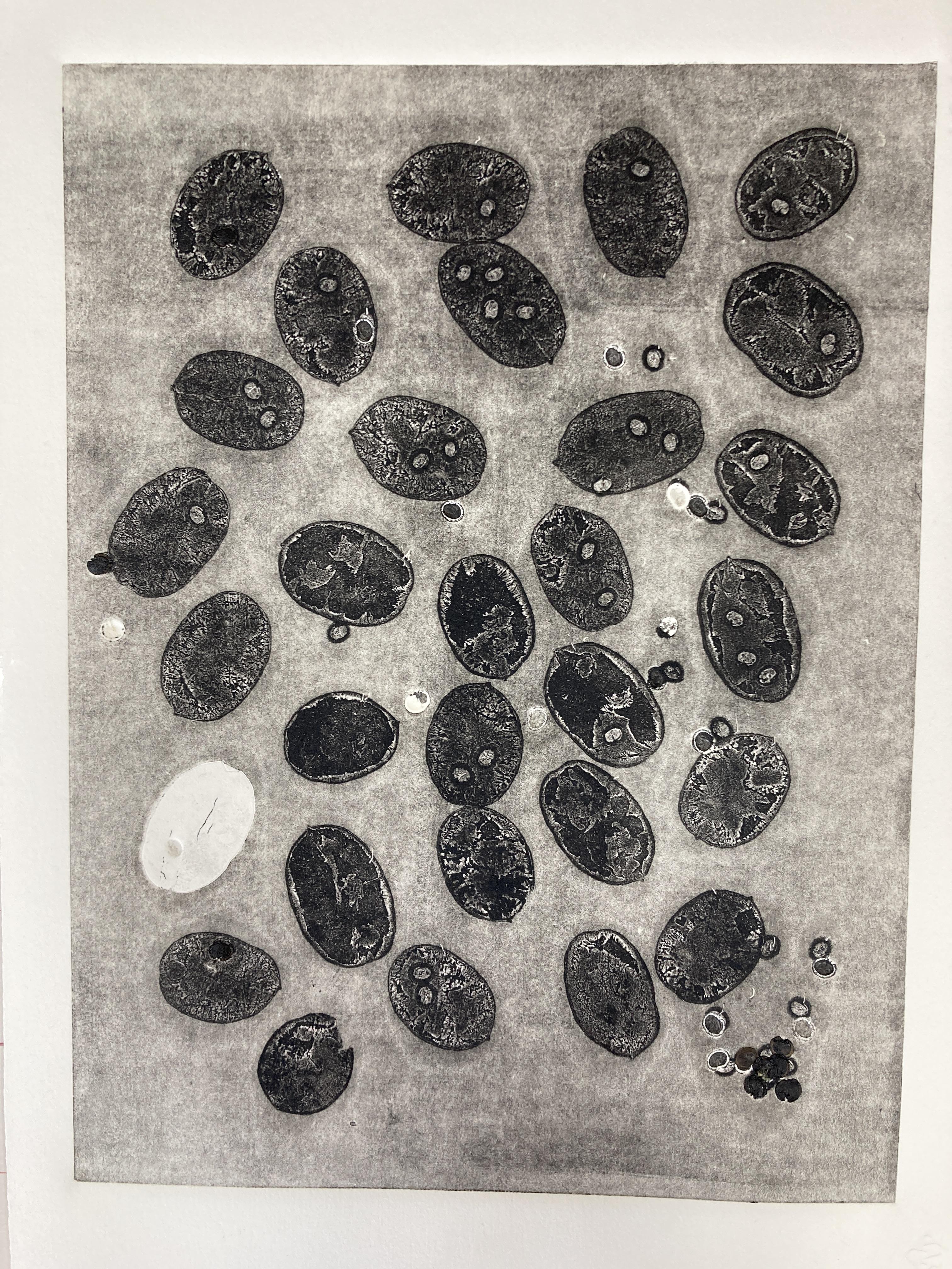 Monotype - eerste kennismaking - herfstbladeren en herfstvruchten - Foto