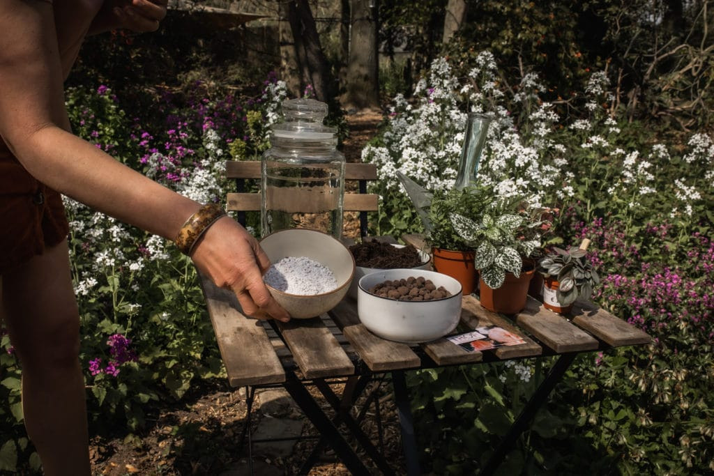 Workshop: Biosfeer - Foto