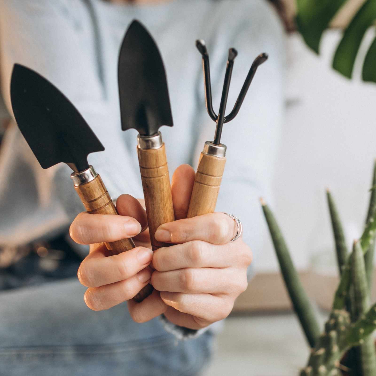 Workshop Urban Jungle - Basic plantcare - Foto