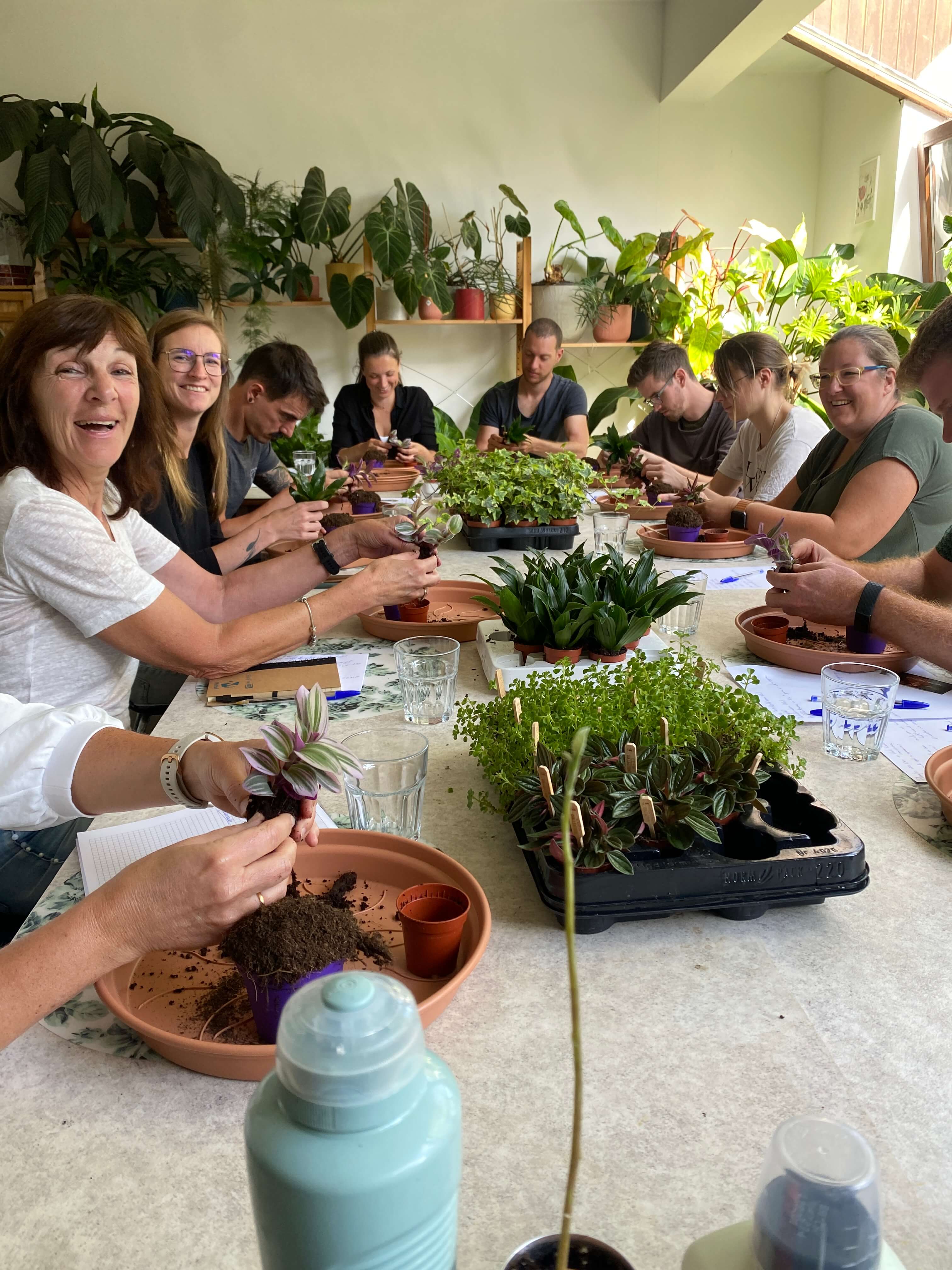 Workshop Kamerplanten verzorgen en verpotten - een complete basis - Foto