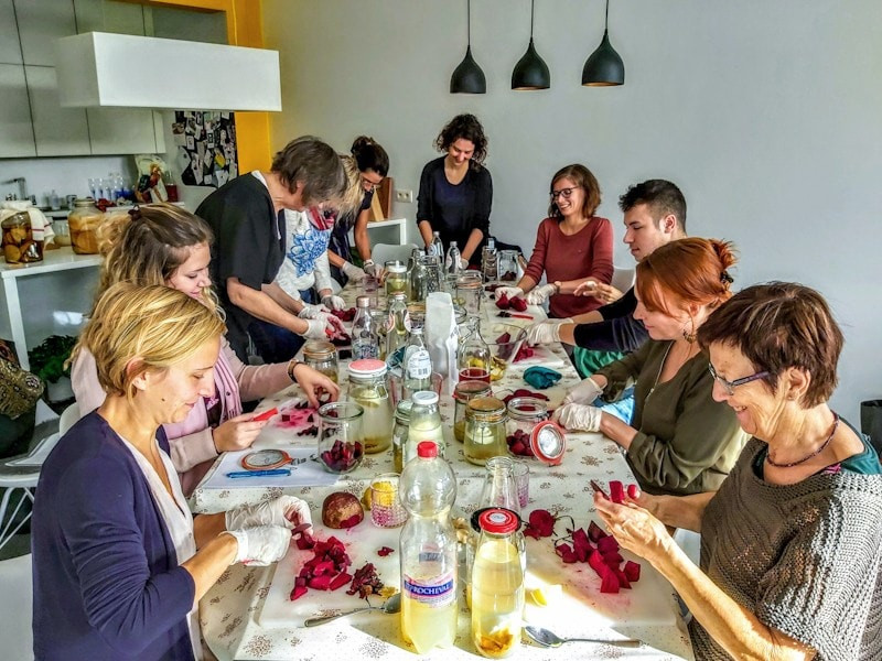 Workshop fermentatie: Kimchi & Zuurkool - Foto
